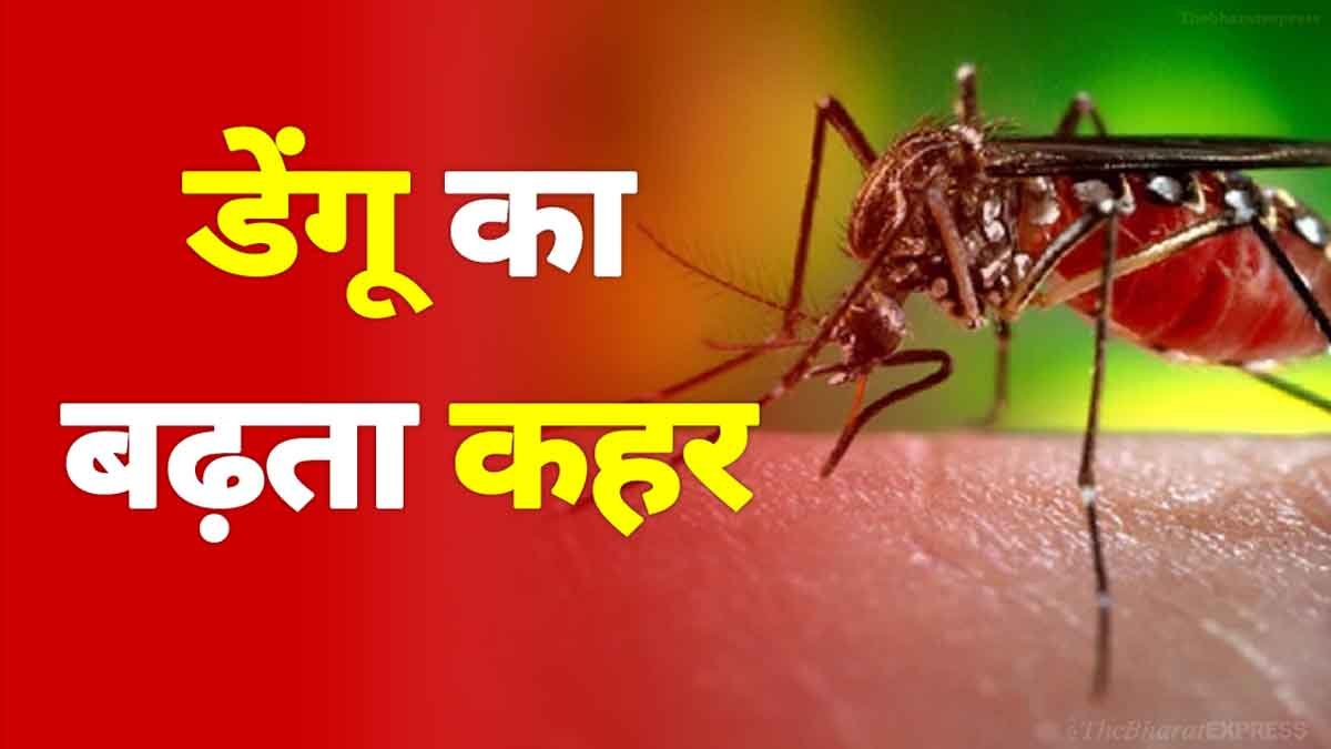 dengue in cg