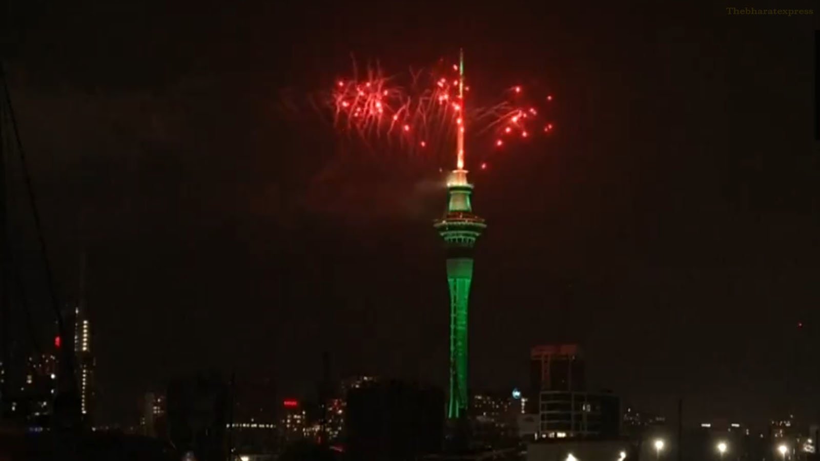 New Zealand's welcomes the new year 2024
