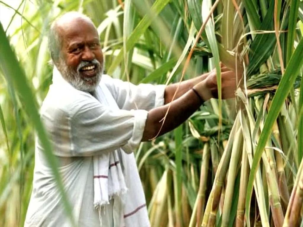 Great news for Kisan! Government can make a big announcement…
