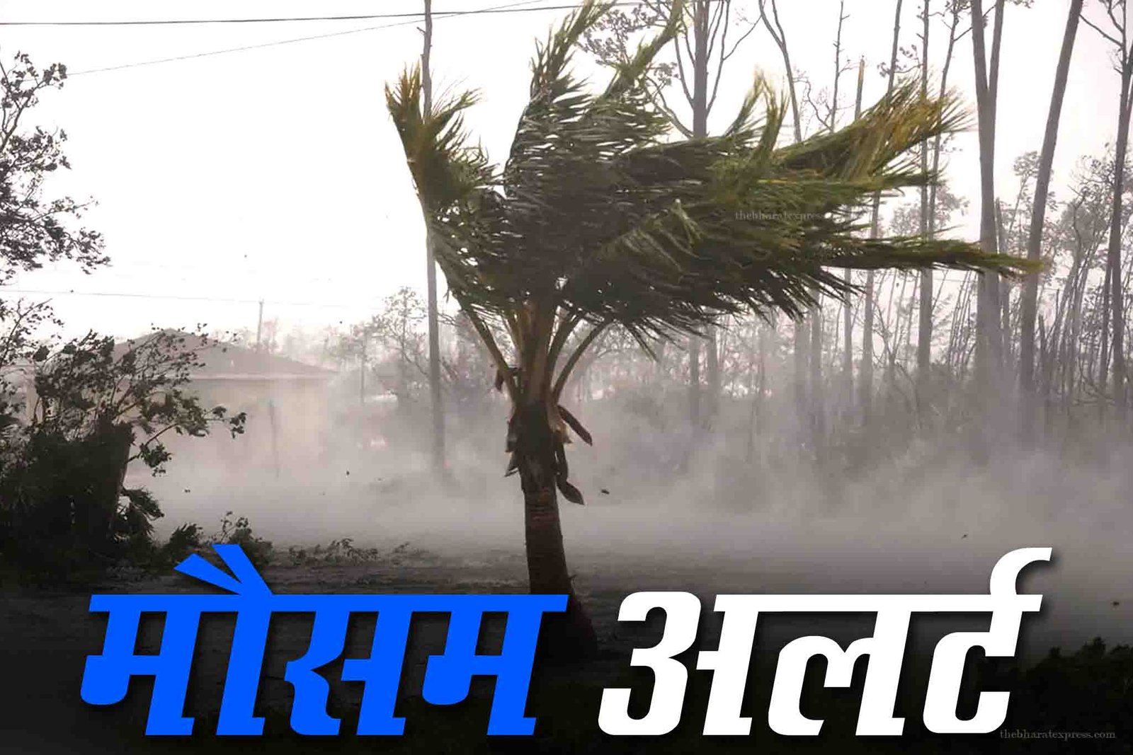 mausam alart