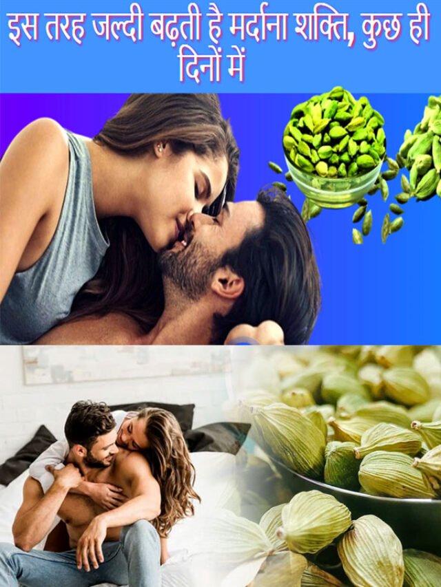 Elaichi ke fayde Mens: शादीशुदा पुरुषों के लिए इलायची वरदान से कम नहीं है , केवल इस तरह से करें इस्तेमाल, पत्नी रहेगी खुश