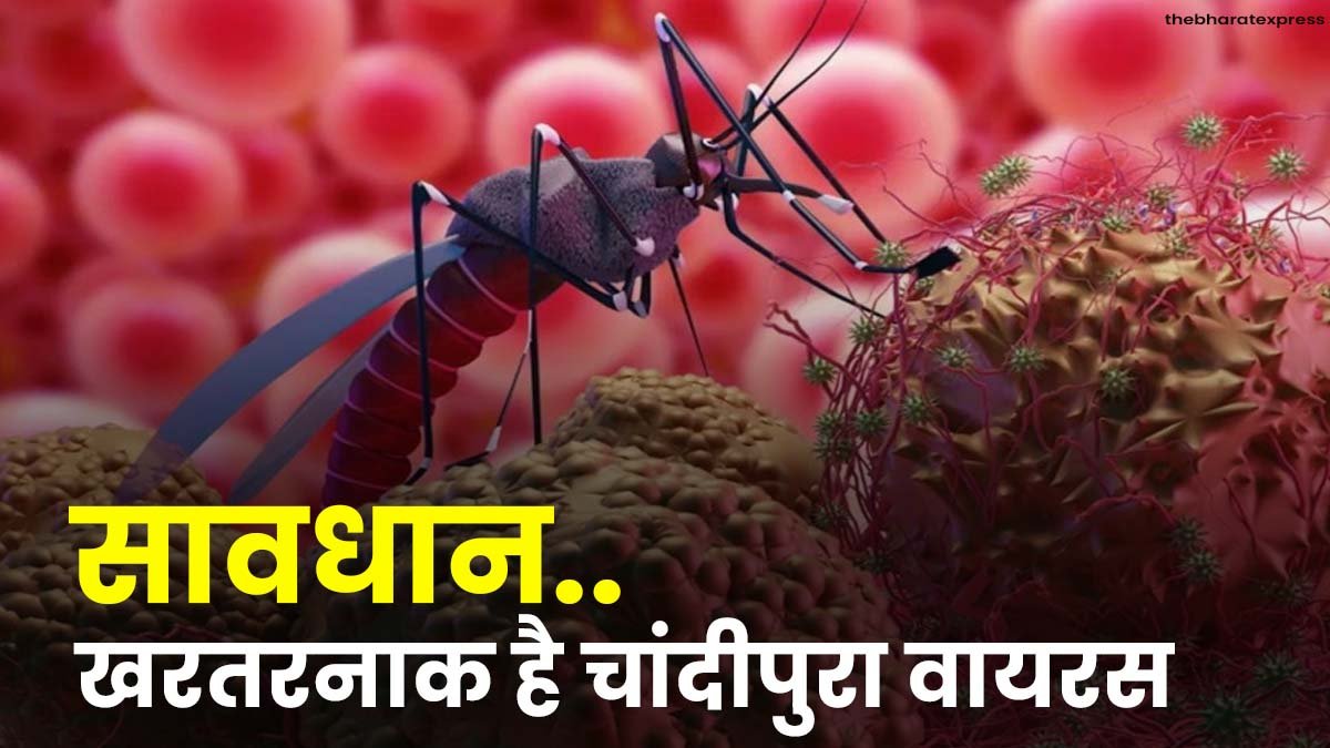 Chandipura Virus news