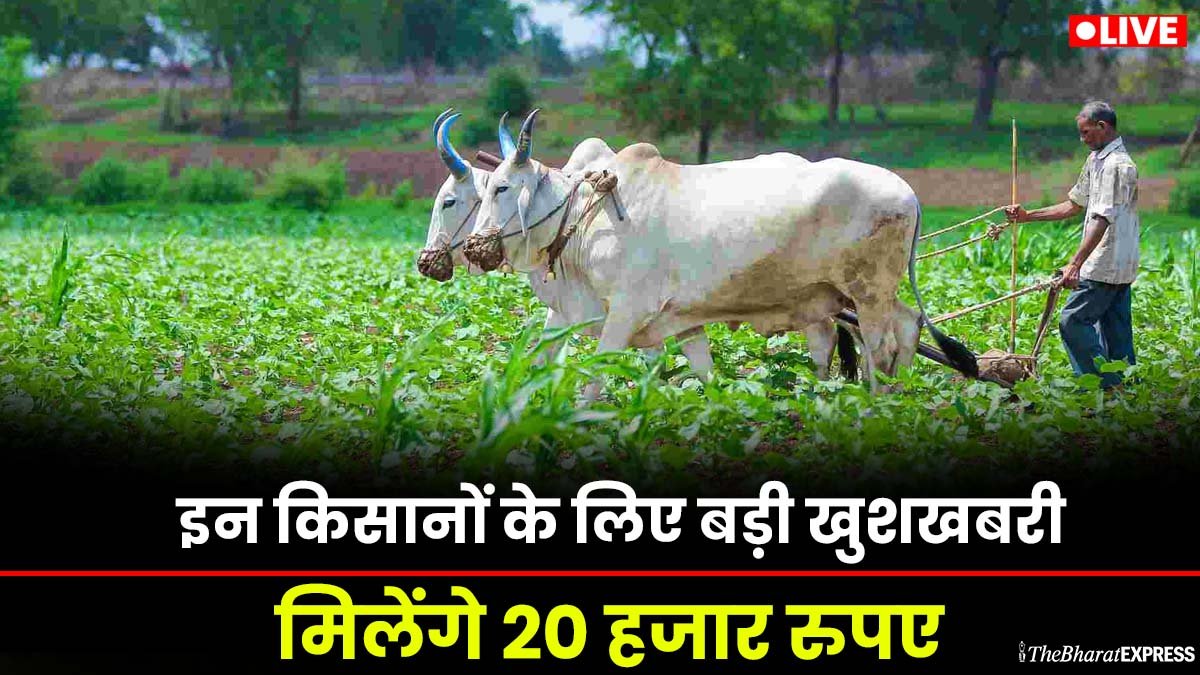 Mukhyamantri Mangla Pashu Bima Yojana