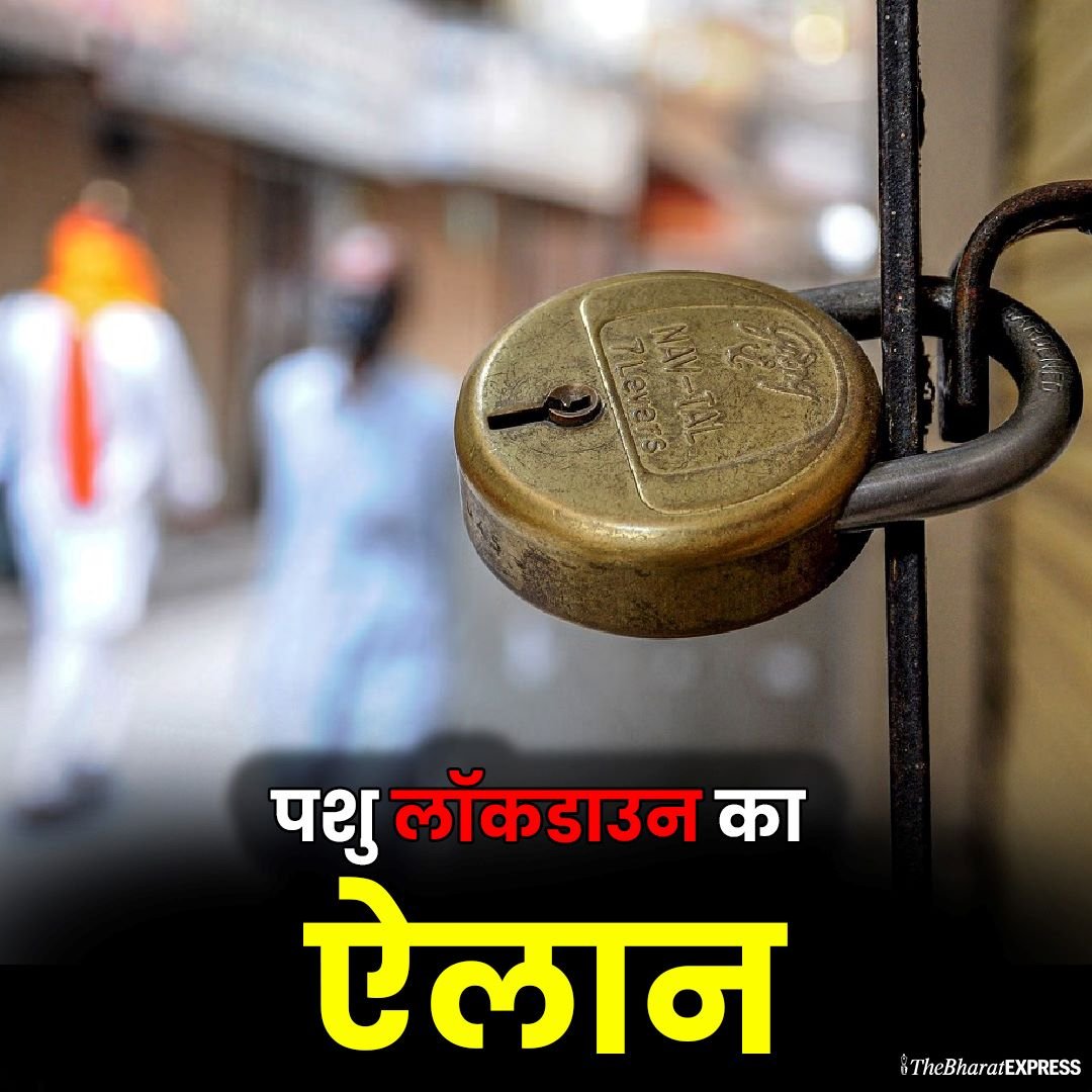 Pashu Lockdown