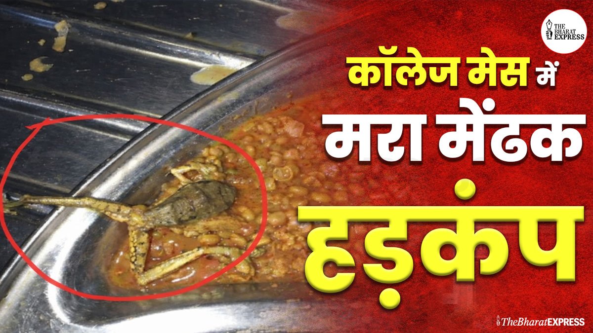 khane me mandek mila